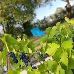 Sainte Barbe 米尔库尔