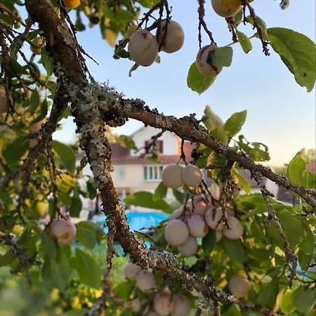 Villa Sainte Barbe Mirecourt