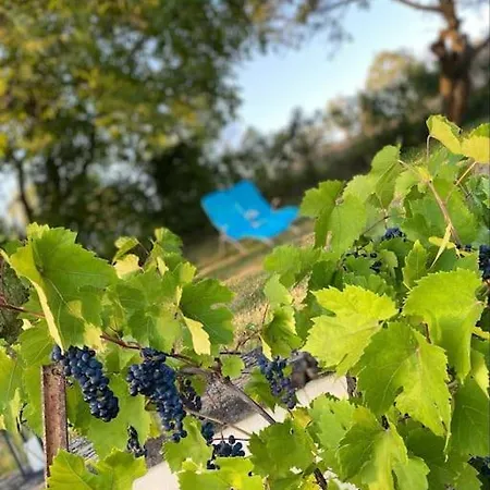 Maison Hotes Sainte Barbe Mirecourt