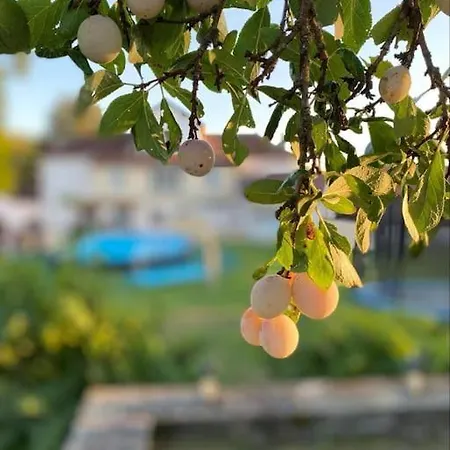 Villa Maison Hotes Sainte Barbe *