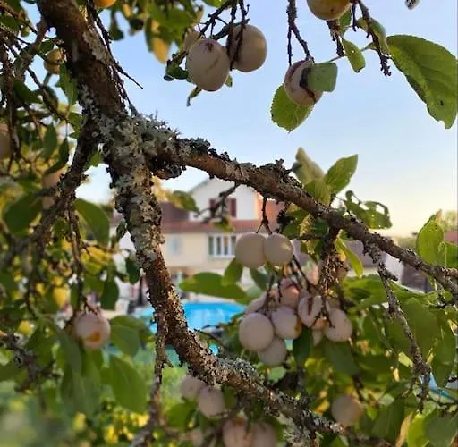 Вилла Maison Hotes Sainte Barbe Mirecourt