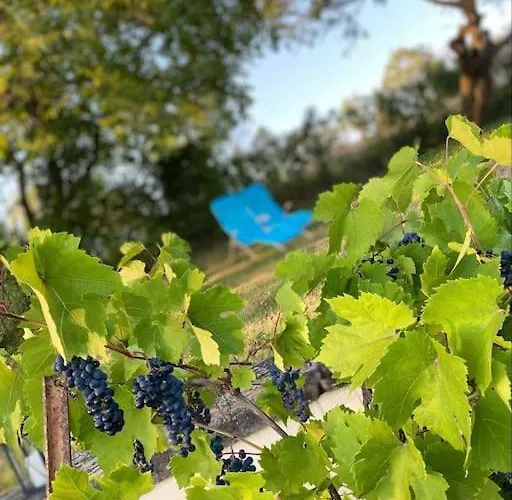 Maison Hotes Sainte Barbe Mirecourt