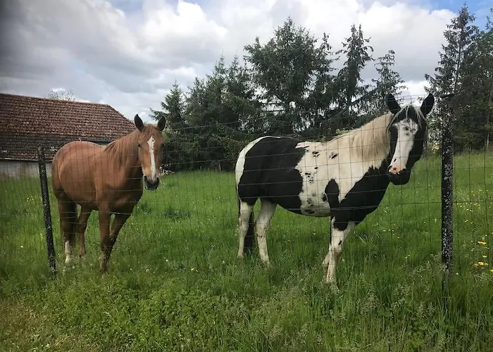 Villa Sainte Barbe Mirecourt