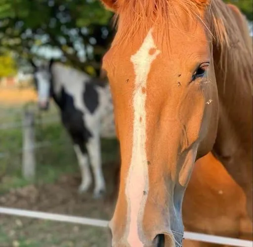 Вилла Maison Hotes Sainte Barbe