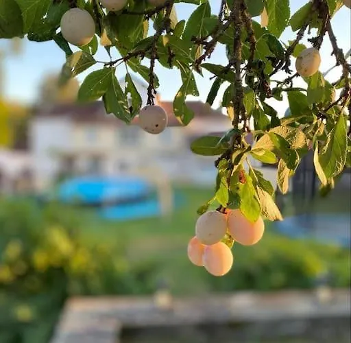 Вилла Maison Hotes Sainte Barbe *